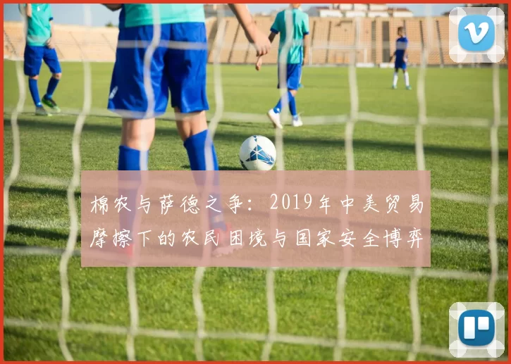 棉农与萨德之争：2019年中美贸易摩擦下的农民困境与国家安全博弈