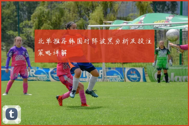 北单推荐韩国对阵波黑分析及投注策略详解